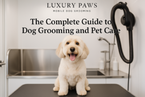 The Complete Guide to Dog Grooming and Pet Care