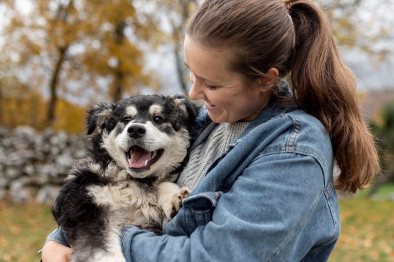 7 Tips to Take Care of Your Pets with Luxury Paws